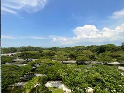 Blk 64 Marine Drive Gardens (Marine Parade), HDB 3 Rooms #580600471